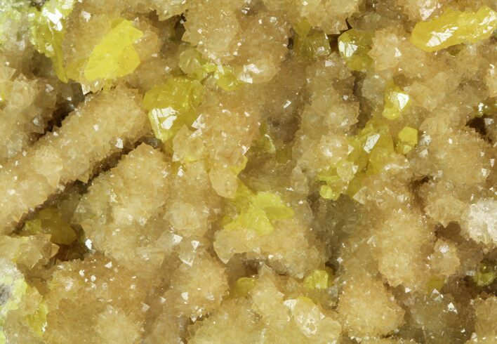 Sparkling Sulfur On Matrix Of Calcite Crystals - Poland #79235